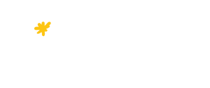 Bright Idea Solutions Company